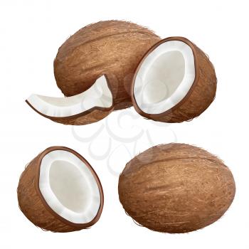 Coconut realistic. Tropical closeup nature fruit from fresh palm vector coconut milk pictures. Palm fruit coconut, coco tropical closeup illustration