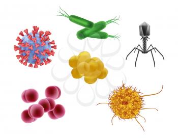 Microbes realistic. Biological cells different flu viruses vector illustration of microorganism. Microscopic bacterium and microbe, coronavirus flu realistic, virus influenza