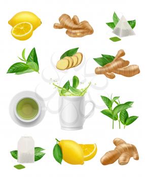Ginger root and tea. Eating plants healthy freshness herbs lemons for tea vector realistic plants. Breakfast healthy root and teacup illustration