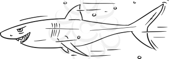 Cartoon vector of shark dangerously smiling 