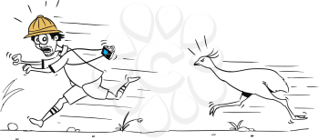 Cartoon vector male tourist is running away from large ostrich bird pursuing him