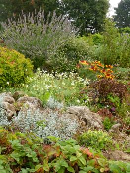 Rock flower garden rockery with blooming lavender and alpine rock plants.