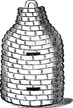 Antique vector drawing or engraving of vintage classic Straw beehive or bee hive or skep. Illustration from book Illustrierter Neuester Bienenfreund, printed in Leipzig, Germany 1852.