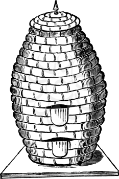 Antique vector drawing or engraving of vintage classic Straw beehive or bee hive or skep. Illustration from book Illustrierter Neuester Bienenfreund, printed in Leipzig, Germany 1852.