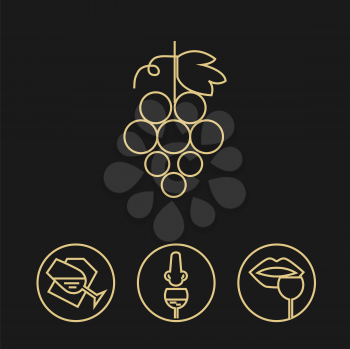 Wine gold icons collection on dark background. Modern outline style. Grapes and tasting process. Can be used for wine shop, wine company and club, for typographic purpose