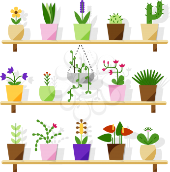 Indoor potted plants isolated on white. Vector set green plant in pot, illustration of flowerpot bloom