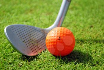 Golf-club and orange golf ball