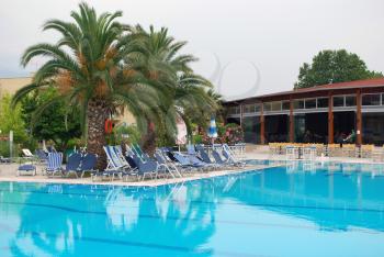 Open swimming pool with palm tree