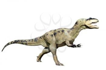 tyrannosaurus rex isolated on white background 