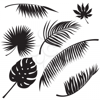 Tropical leaves black vector silhouettes on white