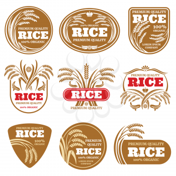 Paddy grain organic rice labels. Healthy food vector logos isolated. Illustration of rice label food collection