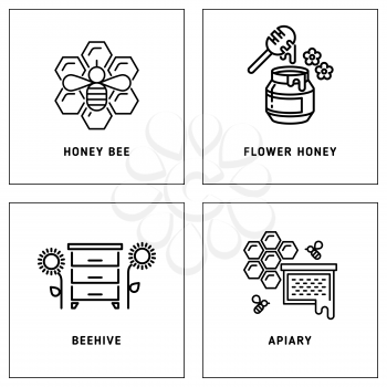 Honey, bees honeycomb vector logos template set. Illustration of logo label