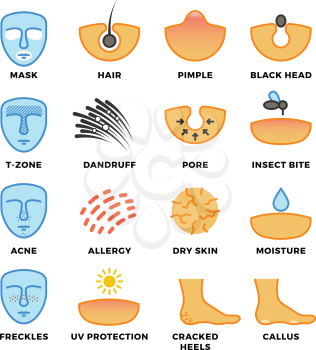 Skin types, skin care and cosmetic vector icons. Face health, beauty human illustration