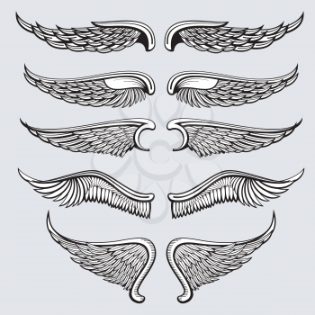 Heraldic bird, angel wings vector set. Wings angel tattoo, illustration gothic wings eagle