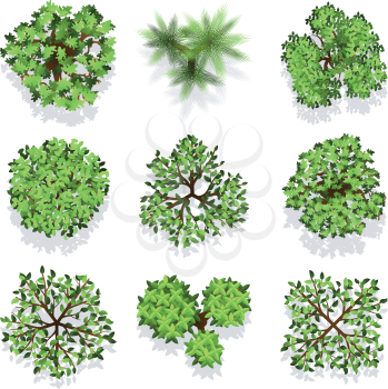 Trees top view vector set for landscape design and map. Green tree for garden, illustration trees for forest