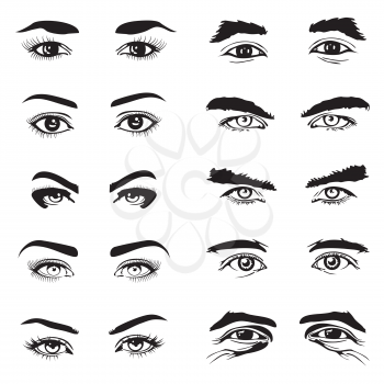 Male and female eyes and eyebrows vector elements. Human eyeball and look illustration