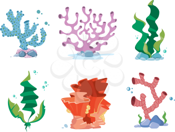 Reef corals, seaweeds, underwater wildlife plants vector set. Seaweed and coral for aquarium, organism corals on bottom illustration