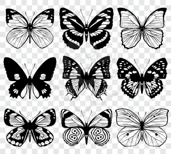 Butterfly silhouettes vector macro collection. Set of butterfly set, illustration of black silhouette butterflies