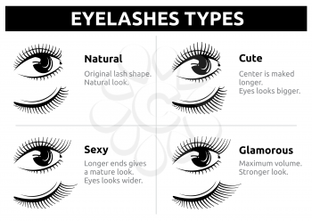 Beautiful girl eyelashes, female makeup vector. Beauty woman eyelash, illustration of makeup eyelashes