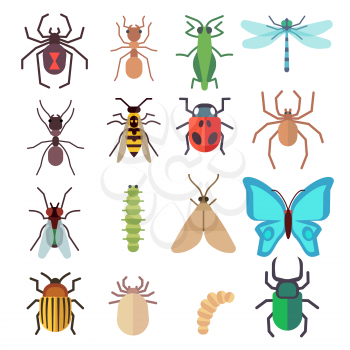 Insect vector flat icons set. Butterfly and bug, fly and ant illustration
