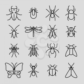 Insect vector thin line icons set. Cockroach and mosquito, spider and butterfly illustration