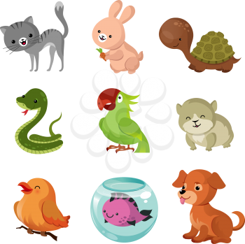 Pets domestic animals vector flat icons. Animal pets cartoon, collection of puppy character pet friend illustration