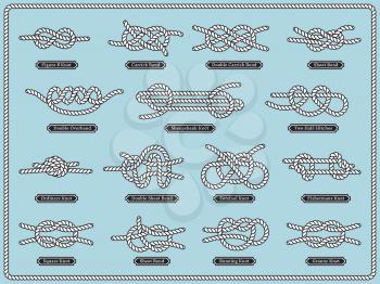 Sailing rope knots. Vector set of nautical design elements. Knot rope bowline, illustration of decorative double sailing knot