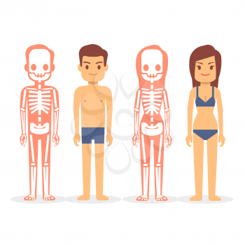 Man and woman, male and female skeletons isolated on white background. Man and woman skeleton, human female and male body vector illustration