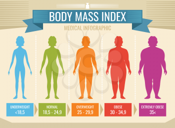 Woman body mass index vector medical infographic. Body mass index, obesity and overweight illustration
