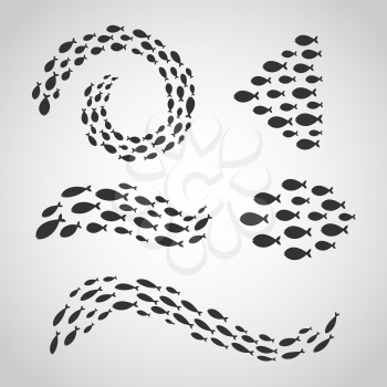 Groups of swimming fishes isolated vector set. Fish animal group illustration