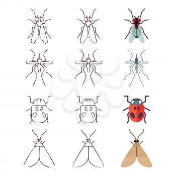 Flat, line and skech icons of insects set. Vector illustration