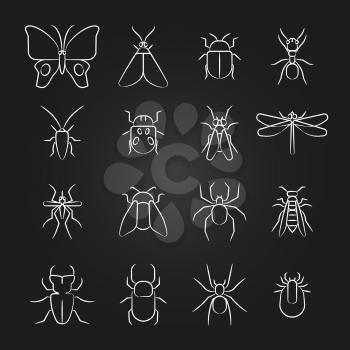 Popular insects line icons set. Bug and beetle, bee and spider. Vector illustration