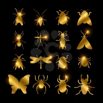 Shiny golden insects silhouette of set isolated on black background. Vector illustration
