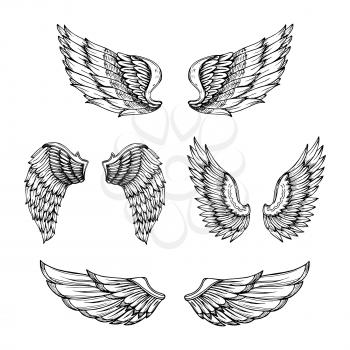 Hand drawn wing. Sketch angel wings with feathers. Vector tattoo design isolated. Angel wing tattoo, bird feather sketch drawn illustration