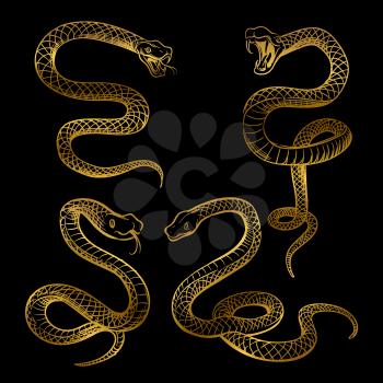 Golden snake set. Hand drawn snakes isolated on black background. Vector illustration