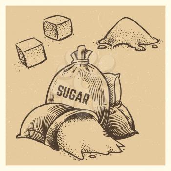 Vector sugar of collection. Sketch vintage style sack sugar illustration