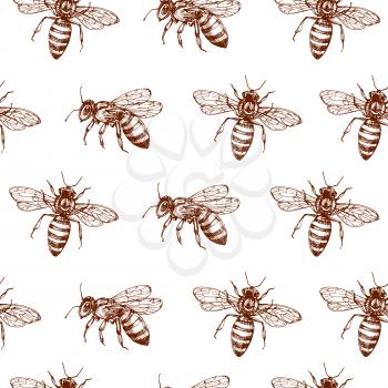 Honey bee seamless pattern. Vintage doodle sketch wrapping vector background. Illustration of bee insect, vintage seamless pattern