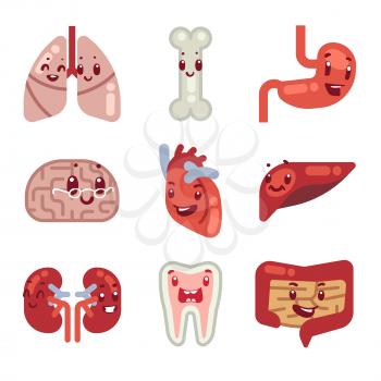 Cute cartoon internal organs vector icons. Characters human organs heart, liver and stomach, illustration of vital organs