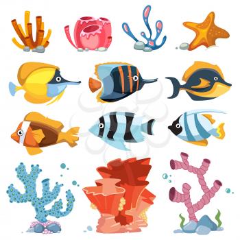 Vector cartoon aquarium decor objects - underwater plants, bright fish. Color coral and fish underwater illustration