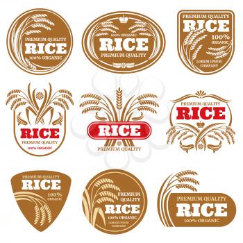 Paddy grain organic rice labels. Healthy food vector logos isolated. Illustration of rice label food collection