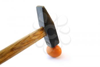 Small egg under a heavy hammer on a white background.