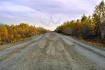 Dirt road during an autumn season