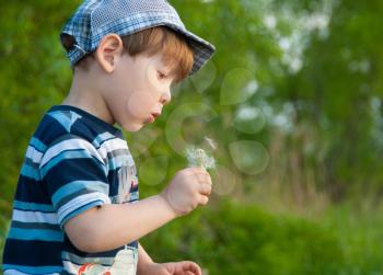 The little boy in a cap blows on a dandelion.