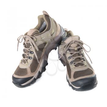 Pair of brown trainers on white isolated background