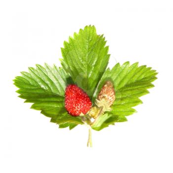 Strawberry with green leaf isolated on white