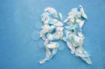 White and blue flower petals arranged on a wooden surface in the form of wings.
