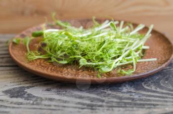 Seedlings of peas on an earthenware plate on a wooden background. Organic microgreens.