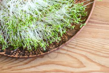 Mustard sprouts on a clay plate on a wooden background. Organic microgreens.