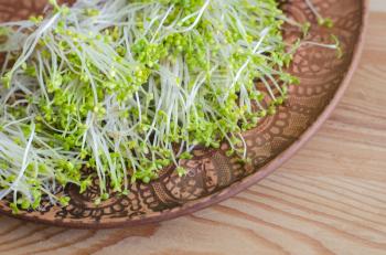 Lucerne sprouts on a clay plate on a wooden background. Organic microgreens.