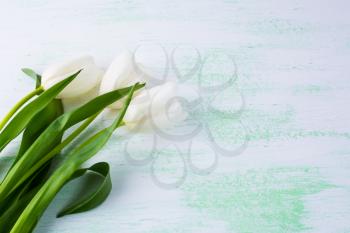 White flower bouquet floral background. Flower frame. Flower background. Flower bouquet. Greeting card. Mothers day. Flowers.  Flower pattern. Flower border. Place for text. Copy space